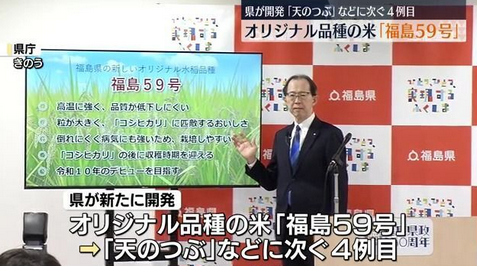 コシヒカリに匹敵するおいしさ＆暑さに強い特徴も…県が新たに開発「福島59号」　福島