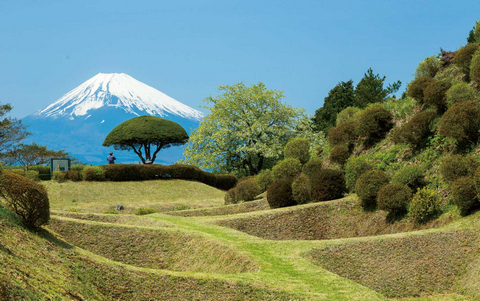 【静岡】「山に置き去りにされた少年を保護している」小学生の男の子を山に置き去りにしたか…母親と交際相手を逮捕