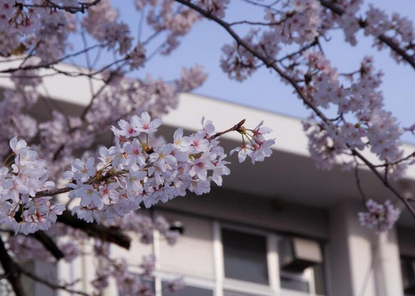 【お金】わが家は「生活保護」を受けていますが、成績優秀な息子を“大学進学”させてあげたいです。福祉事務所には「原則不可」と言われましたが“世帯分離すれば可能”って本当ですか？ 注意点も確認