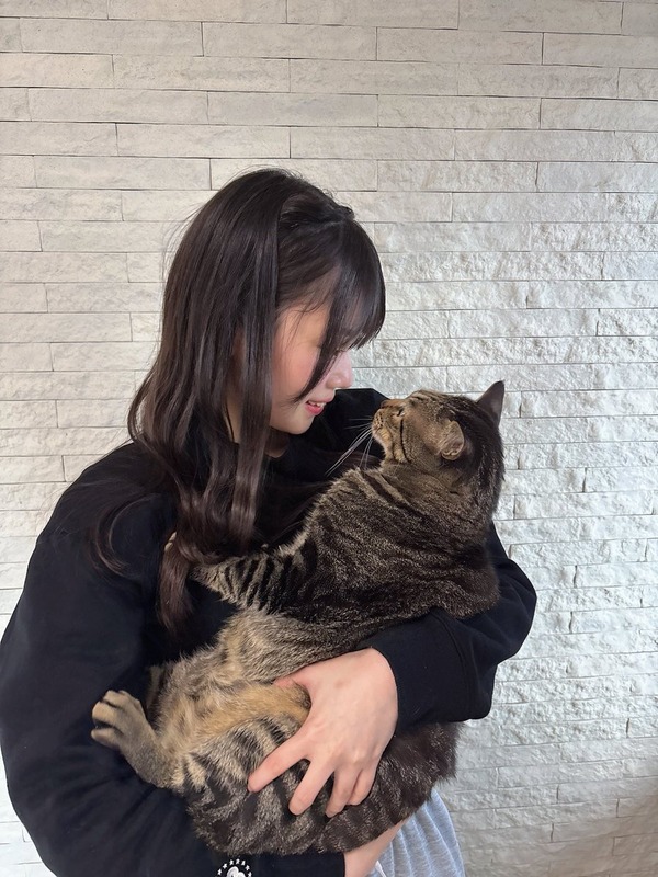 【藤野心葉】愛猫こたろー