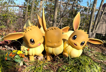 「ポケパーク」水200円も“適正価格”と絶賛　「夢、詰まりすぎ」