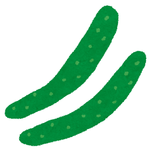 徳島県の大学生が「きゅうり」を原料にしたビールを開発　1本800円