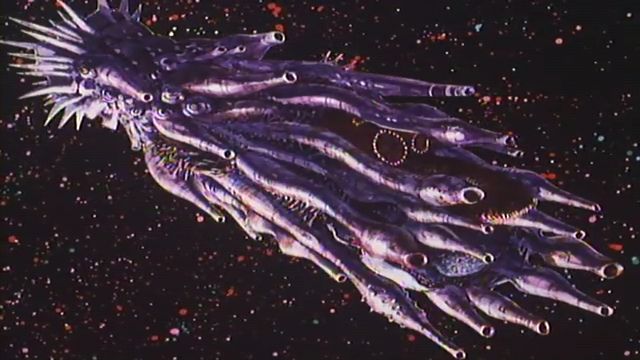 【スパロボY】宇宙怪獣「本当なんですか？　怪獣の方が優性ってのは……やる気出てきた」