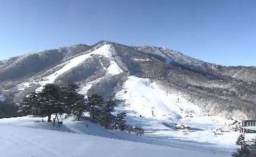 【斑尾高原】スキー場で雪崩…子ども含む5人巻き込まれる…そのうち4人を救急搬送　長野・新潟県境のスキー場