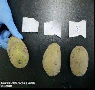 【注意】「ジャガイモによる食中毒」が奈良県で発生　国内では2年ぶりの公式確認　ポトフ食べた家族が喉の違和感や吐き気　重症者はなし　加熱予防が効かない有毒成分「ソラニン類」に注意