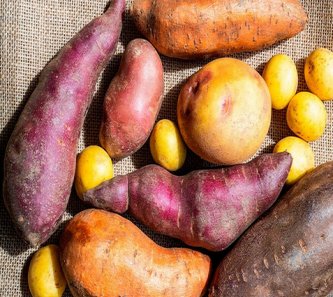 【食糧不足】昼食は「焼き芋2本、ジャガイモ2個、野菜炒め2皿」…日本が食料危機で「米から芋食」にシフトする日