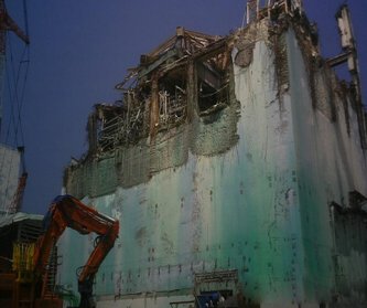 【東京電力/福島第一原発】原発事故15年 キノコ、ヤマメ、アユ、ヒラメ…放射能の生き物への影響は【報道特集】