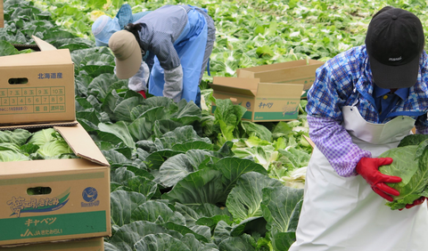 【岩手】失踪したベトナム人技能実習生13人を住み込みで働かせた中国籍のピーマン農場主（36）を逮捕…地方で広がる“闇の受け皿”の実態