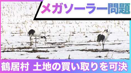 大阪メガソーラー大勝利！森林破壊など法令違反連発・是正拒絶→村が折れ400万の土地を8000万で購入