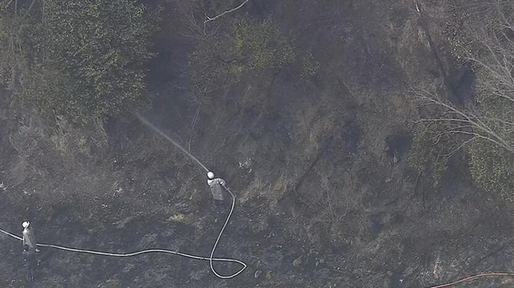 【大阪・能勢町】「たばこをポイ捨てした」枯れ草が燃え山火事に・・・70代男性が顔や手にやけど