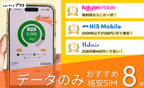 【政府】データSIMも本人確認　改正法案で義務付け