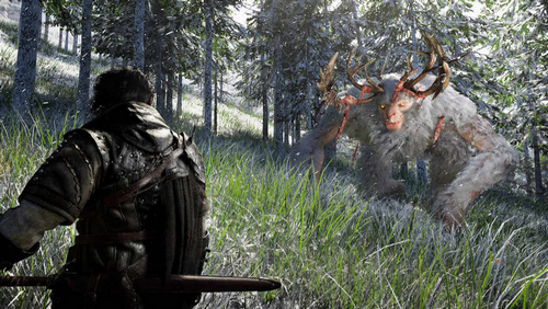 小売「当店の紅の砂漠は大人気で予約分、店頭分全てサクッと売り切れました！」