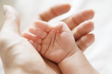 【X】新幹線で豚まんの実業家、「子供を産まない人は税金2倍」を提言→SNS物議　「極論すぎる」「酷すぎる」