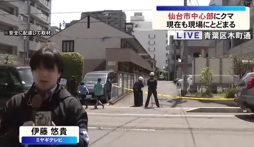 【宮城】マンションなど立ち並ぶ仙台市中心部に…クマとどまる、『箱わな』設置（19日午前11時半時点）