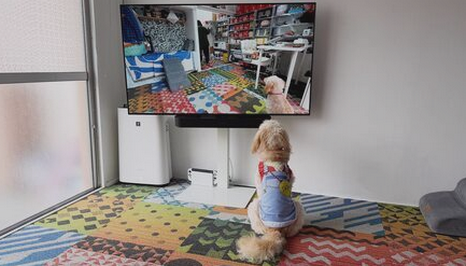 【住まい】「狭小住宅が若者に大人気！」とメディアが盛んに報じているが…25m?・6畳1Kに夫婦で暮らす“プロ”が警鐘を鳴らすワケ