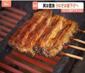 【嬉しい】「うなぎ」値下げする店が増加中！　豊漁で卸価格が昨年比25％減