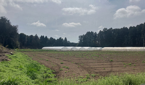 【外国人】「茨城で中国人農家が増加している」　国籍を取得してから離婚…　外国人の不法就労が横行している背景とは