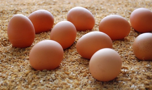 【自動翻訳】X民「生卵を食べれるのは日本だけ！(ﾎﾙﾎﾙ~)」→海外民「何言ってんだこいつ」