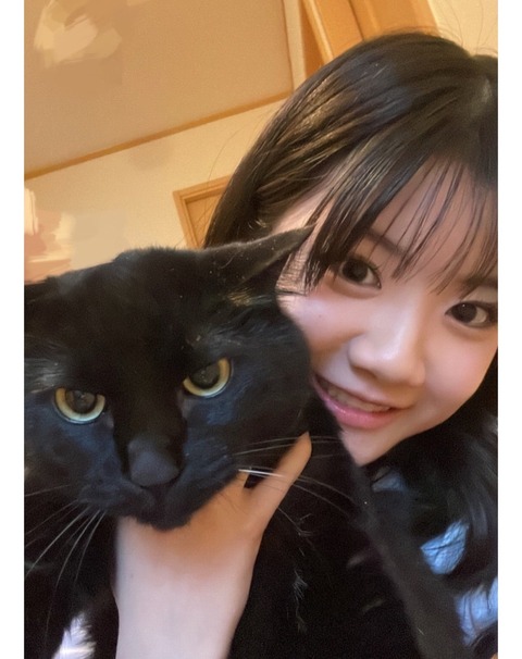 【悲報】愛猫に逃げられる川嶋みっぷる